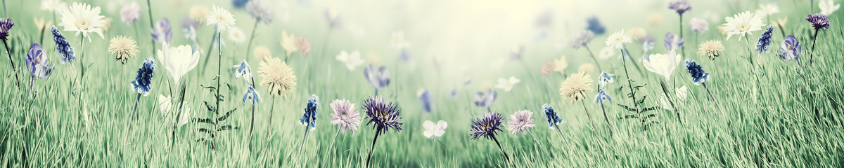 Virtuves panelis dizains SPJ 016